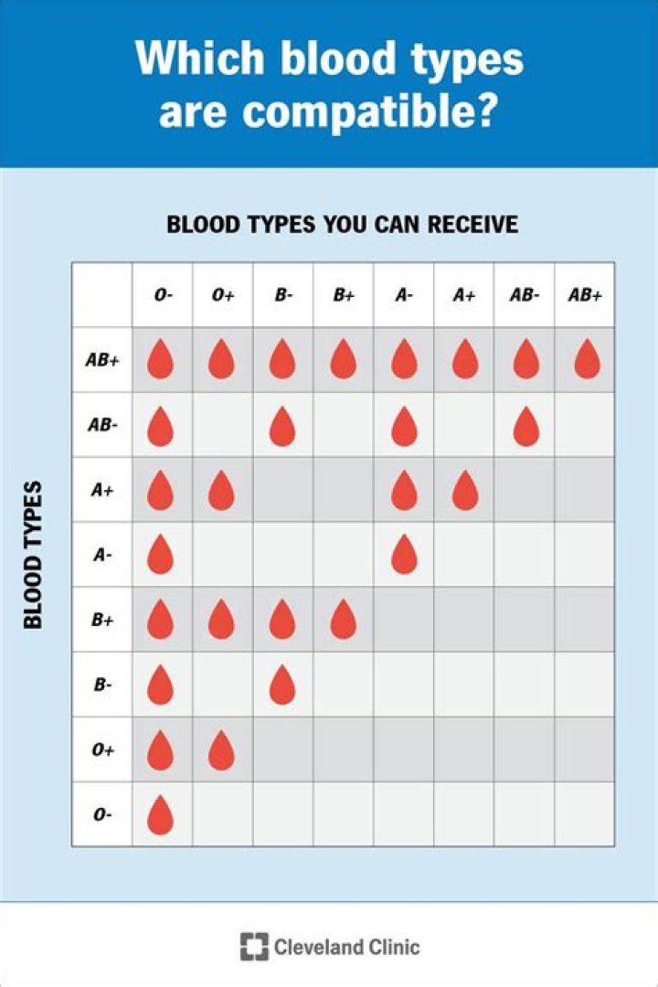 The Blood Type And Laziness Conundrum